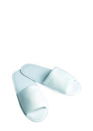 Slippers - HWTO500.jpg
